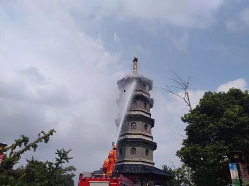 玉圭园最新爆料视频大全,揭秘神秘古园的奇幻之旅 第3张 玉圭园最新爆料视频大全,揭秘神秘古园的奇幻之旅 第3张